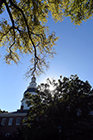 Capitol Building